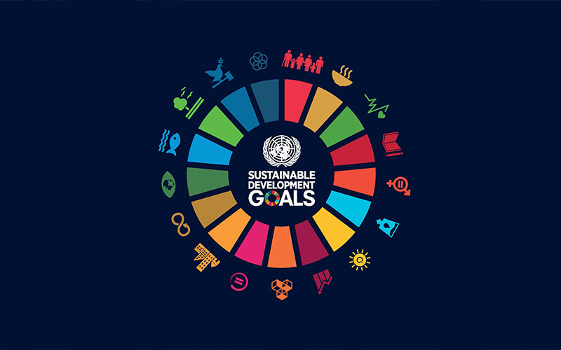 Sustainable Development Goals - como podemos mudar o mundo?