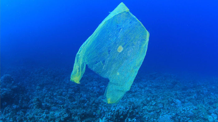 Um mar de plástico