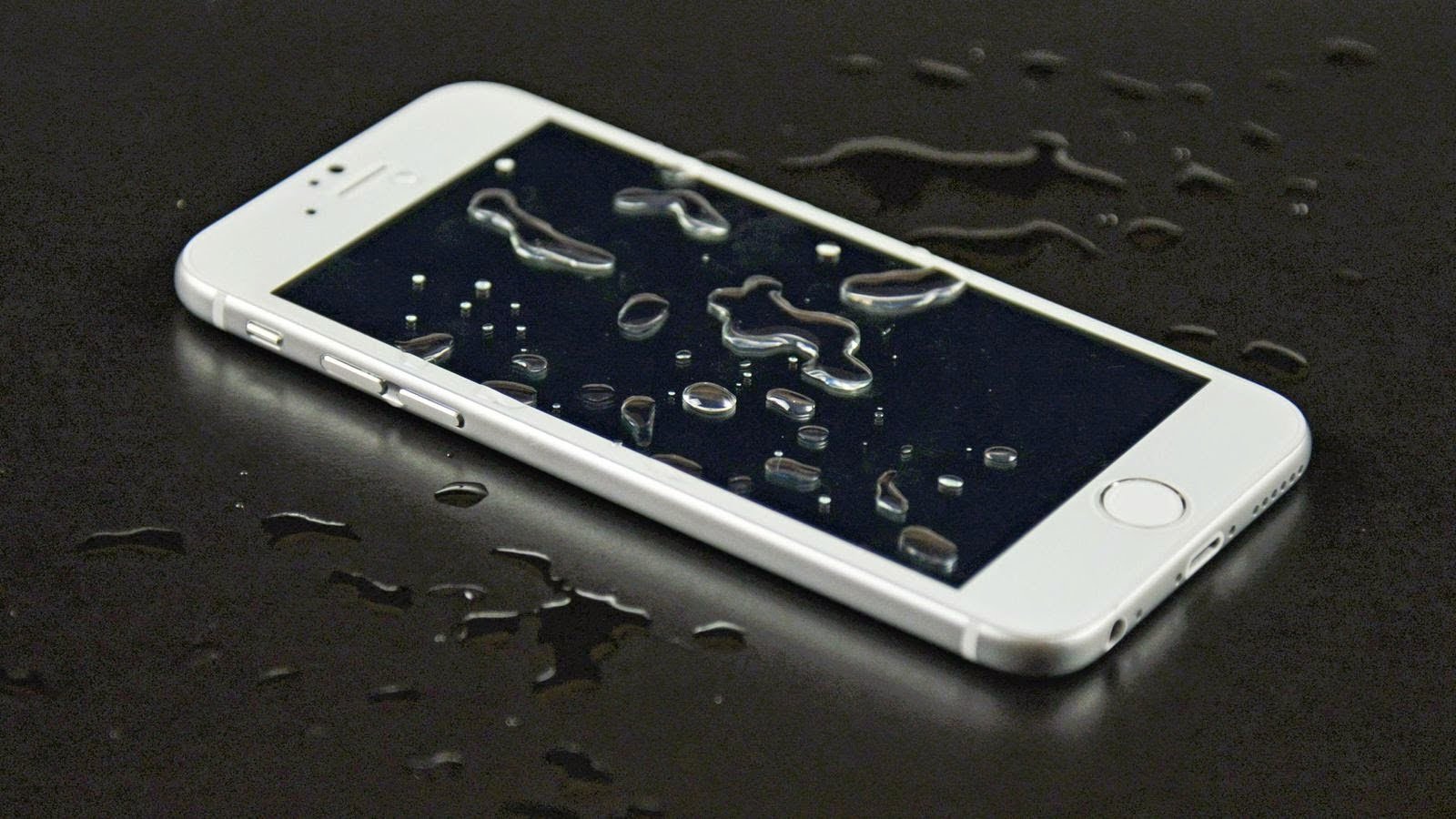 O meu iPhone caiu na água. E agora?